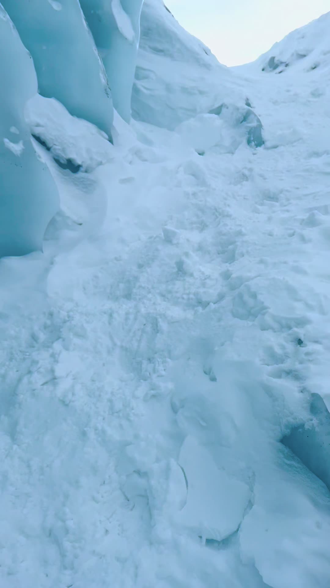 To my 10 year old self, We did it! #fyp #2024 #arctic