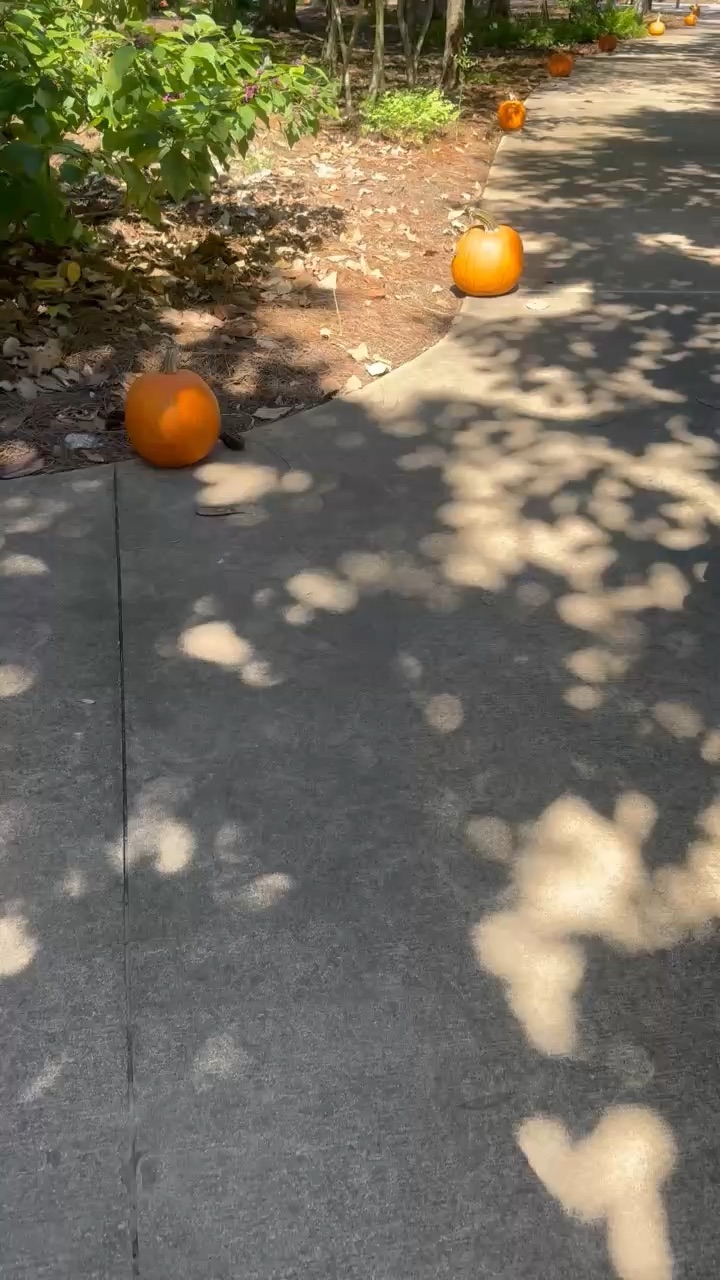 Pumpkins!