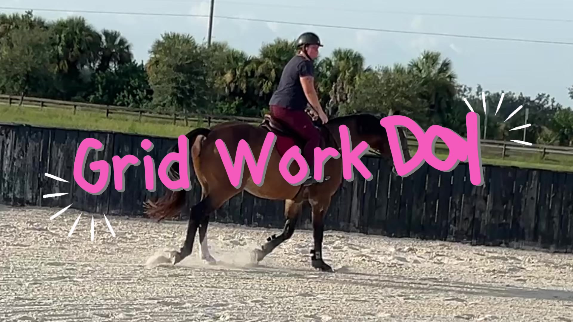 #CapCut #warmbloodhorse #EquestrianReality #HunterJumperLife #HorseGirlLife