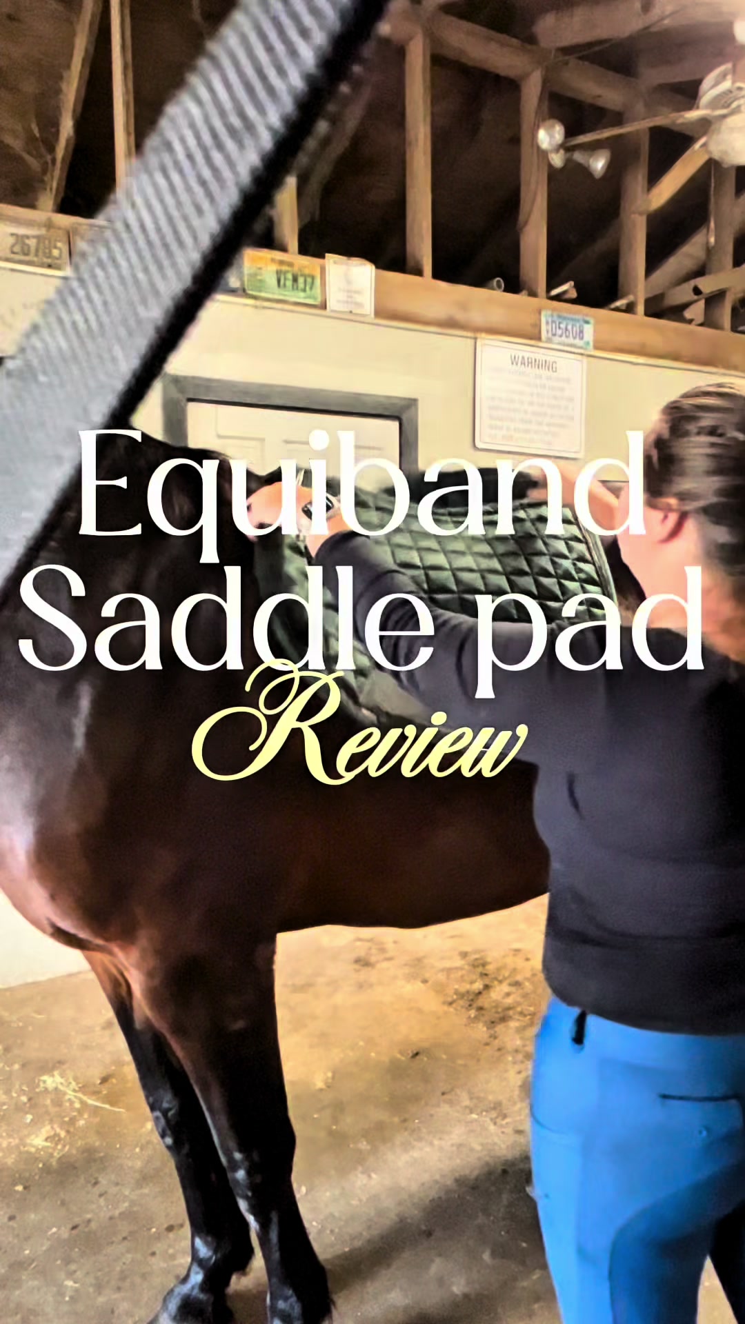 #RidingPrep #RiderGear #warmbloodhorse #equinefitness #EquestrianEssentials