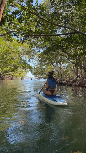 Encontrando planes cool en Miami part 1 - PaddleBoard & Racoon Island . 📍 Guarda el video para que no te olvides lue...