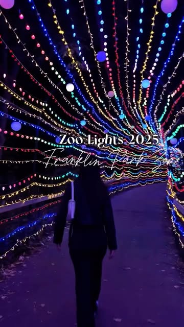 ✨ Bucket list moment 🌙 Franklin Park Zoo Lights 2025 💡con quien vendrías ? Un show diferente solo hasta el 2 de nov...