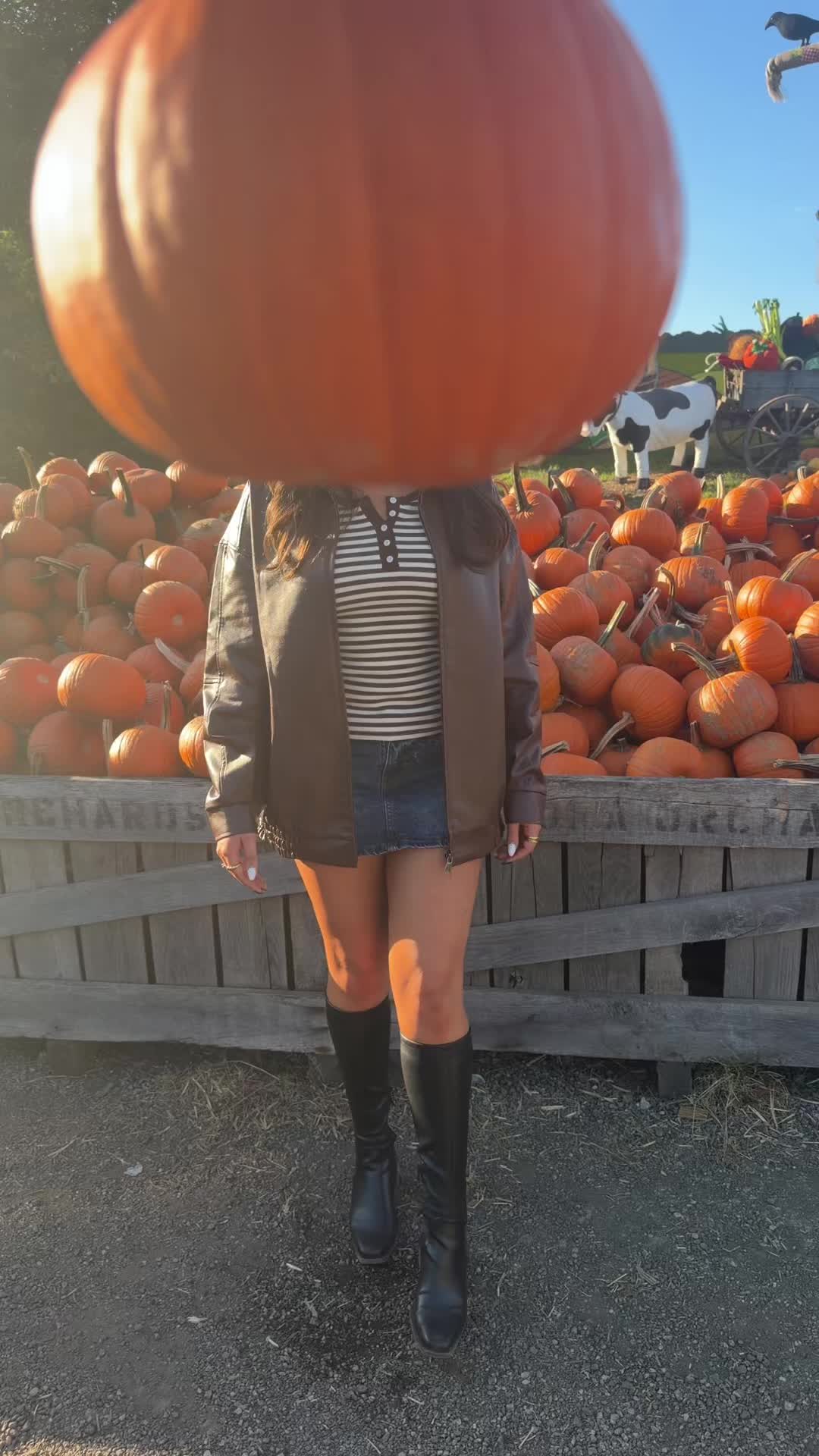 We’re pumpkins #pumpkins #linvillaorchards #fall @Jon Cimino