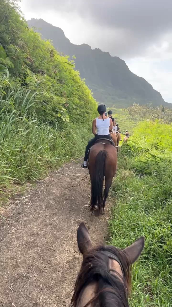 Hits riding