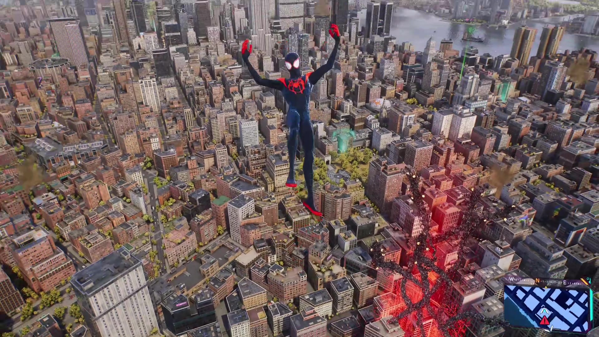🕷️🕸️