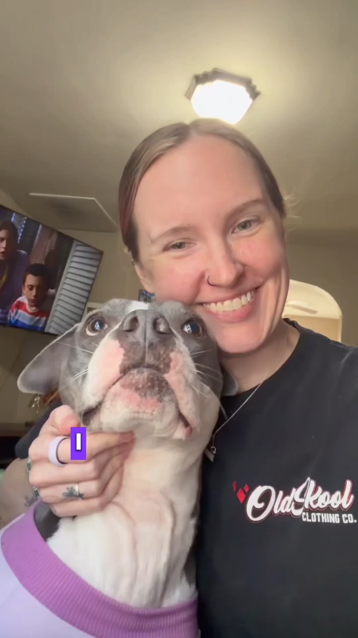 Pet