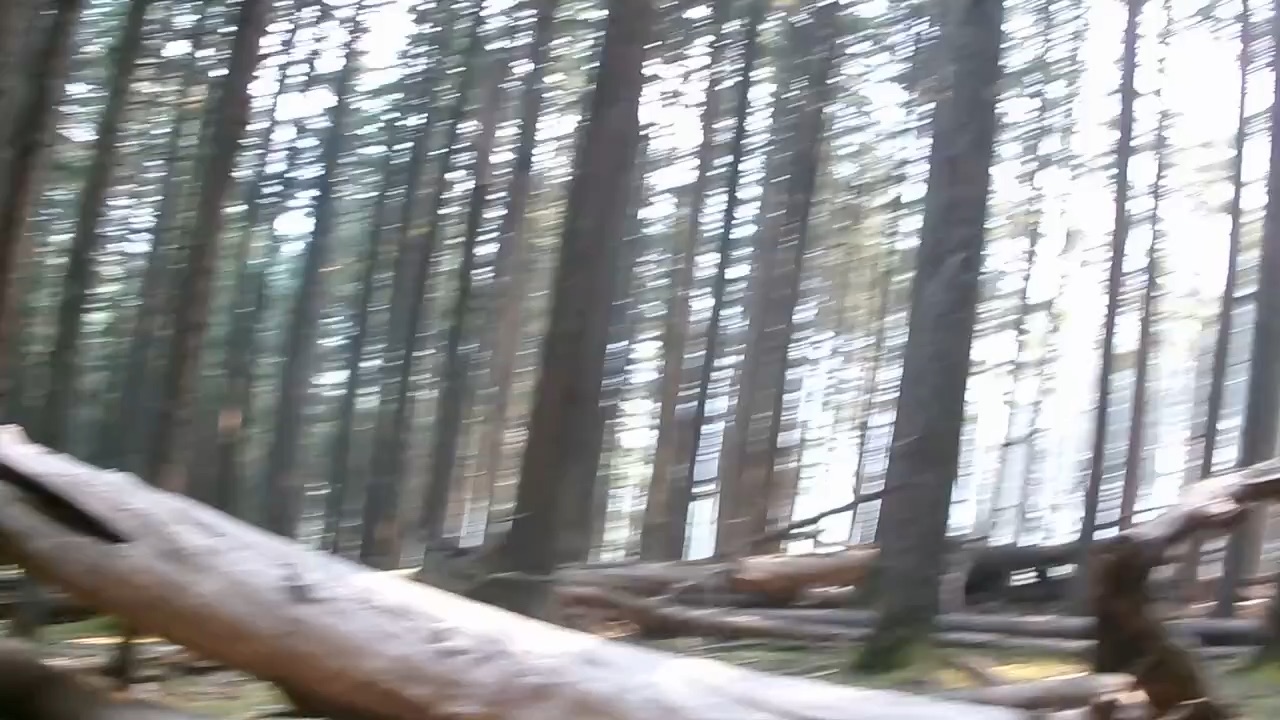 This me on a hike in Montana