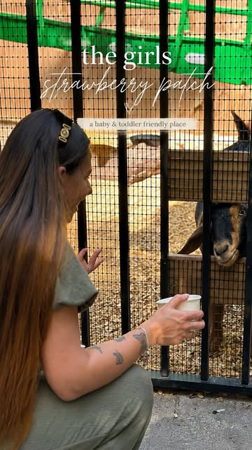 Found such a cute family-friendly spot in South Florida 🐐🍓🦜 Animals to feed, birds you can hold, a little train ri...