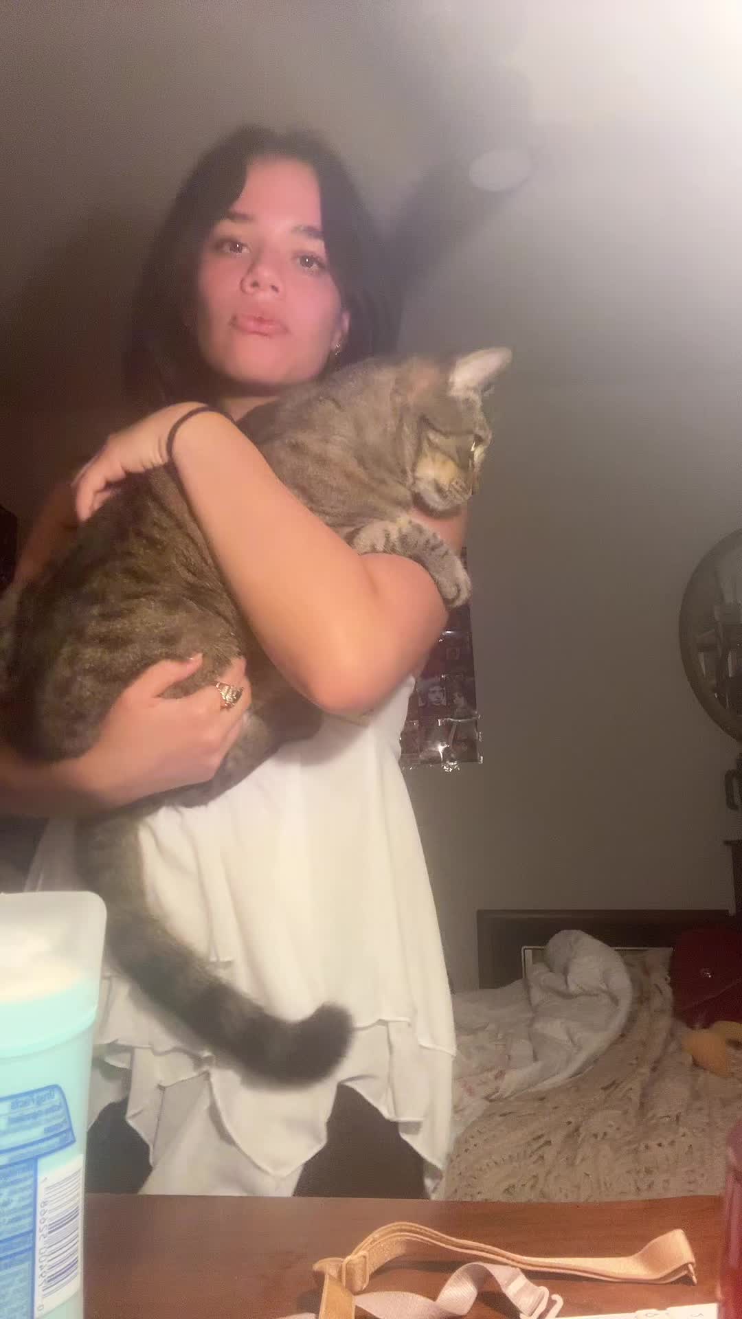 #obsession #cat