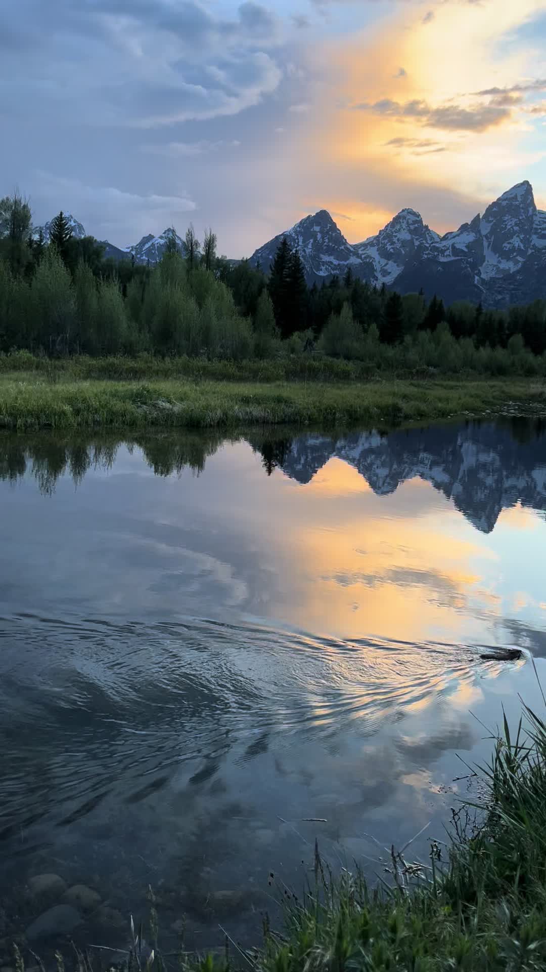 Genuinely so beautiful and the beaver has so much aura #tetons #nationalpark #grandtetons #nature