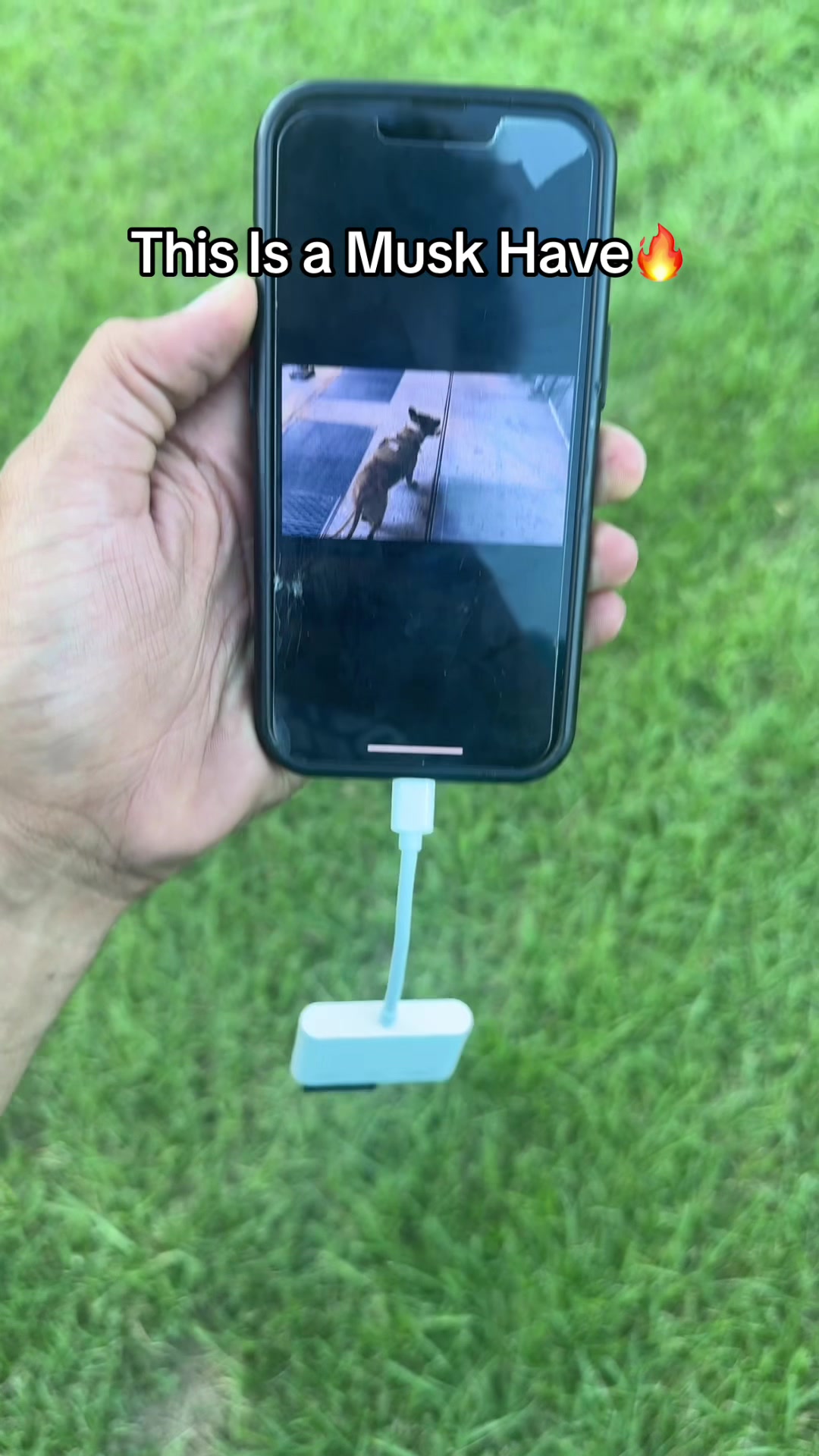 This just changed the game for me🔥 #sdreader #tiktokfinds #viral