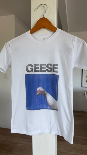 Geese Tee 🪿Available Now on Depop. Link in Bio @cloverbleu @geesebandnyc #explore #reel #geese