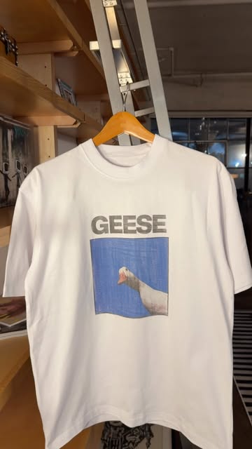 XL Geese Print 🪿 Available on my Depop - cloverbleu 🙈 link in bio to cop !! 🤝 #explore #reel #geese #geesebandnyc...