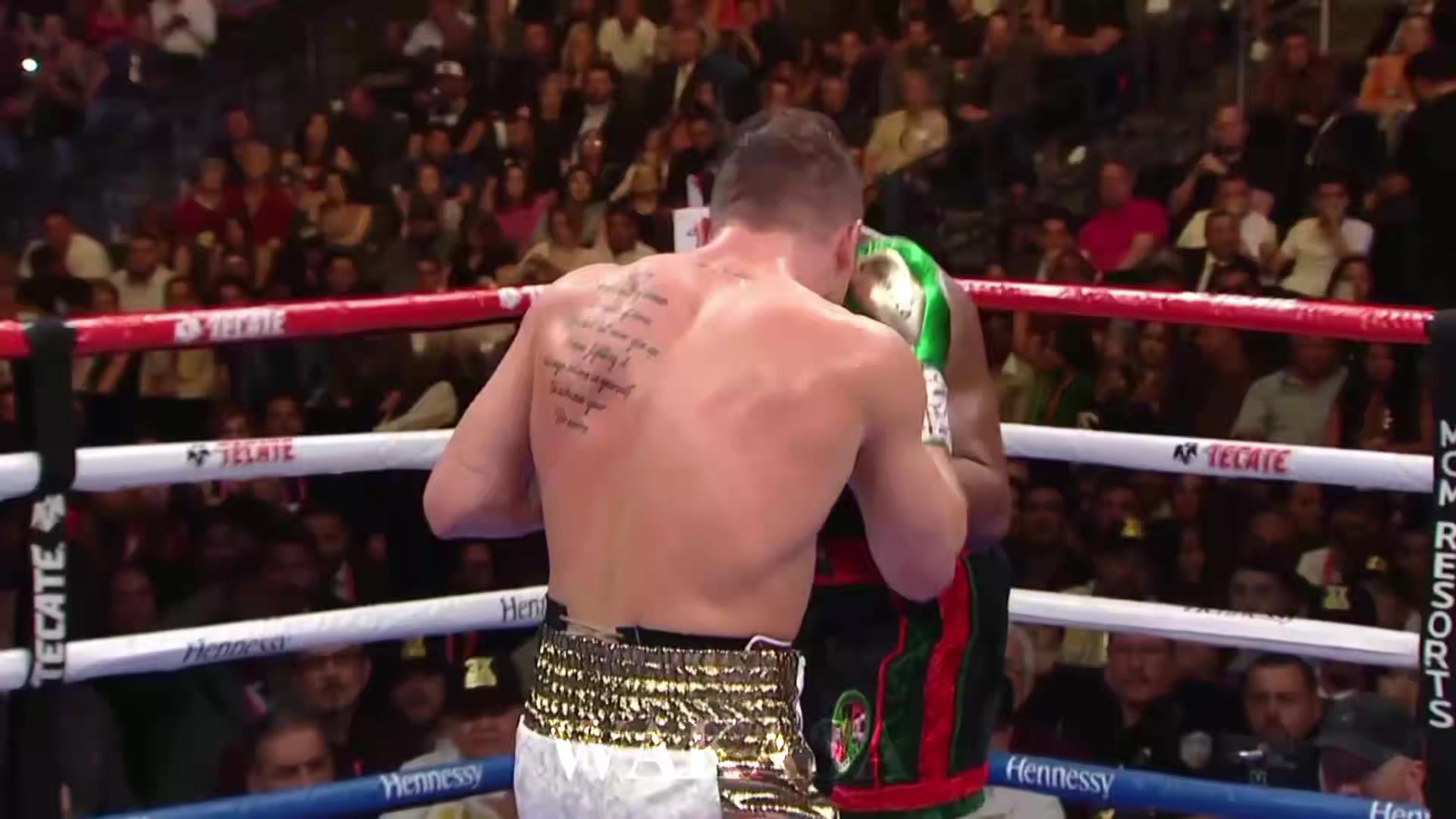 Canelo Alvarez 🔥 #boxing #caneloalvarez #boxinghighlights #boxingedit #fyp