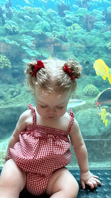 Nailah’s 1st aquarium 🐠 #toddlermomlife #floridaaquarium #toddleractivities #fyp
