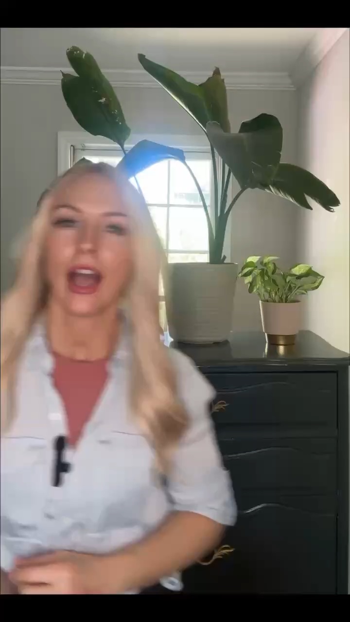 Mock Video Monarch