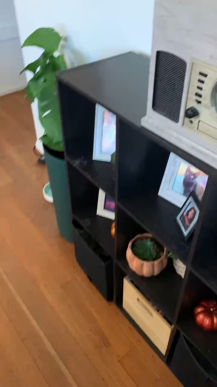 Cat loves delectables