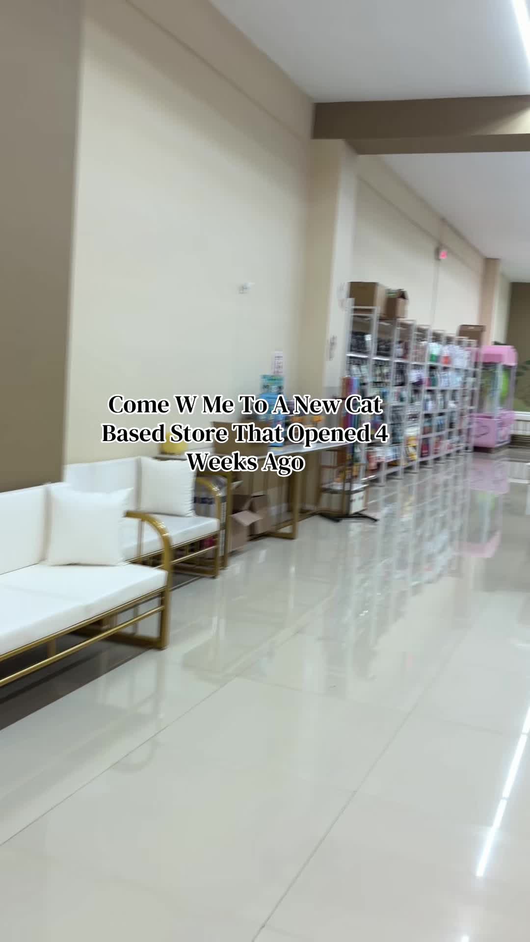 Such A Cute Shopp!! #catsoftiktok #cats #catmom #viralvideo #fyp
