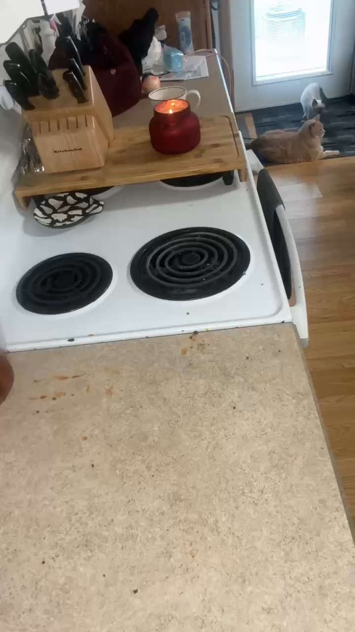 Cleaning Product Review
