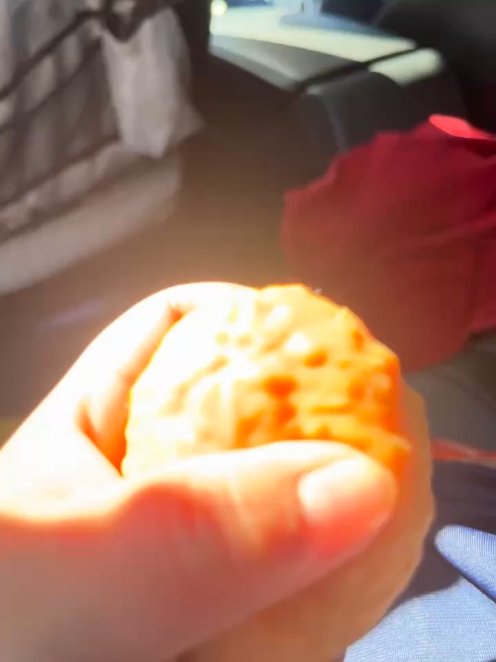 Chicken squishy