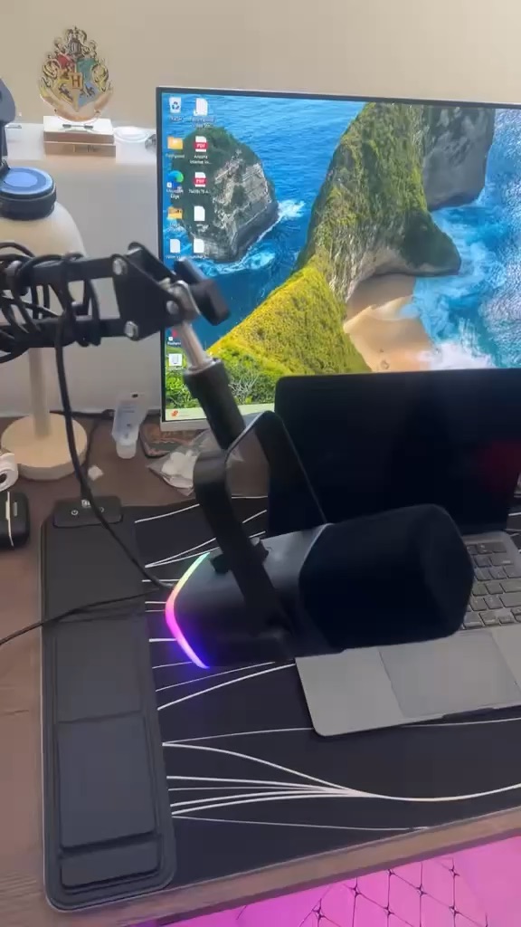 Podcast gaming mic