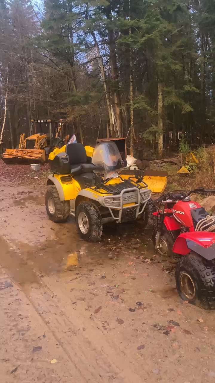 can am 650 #2