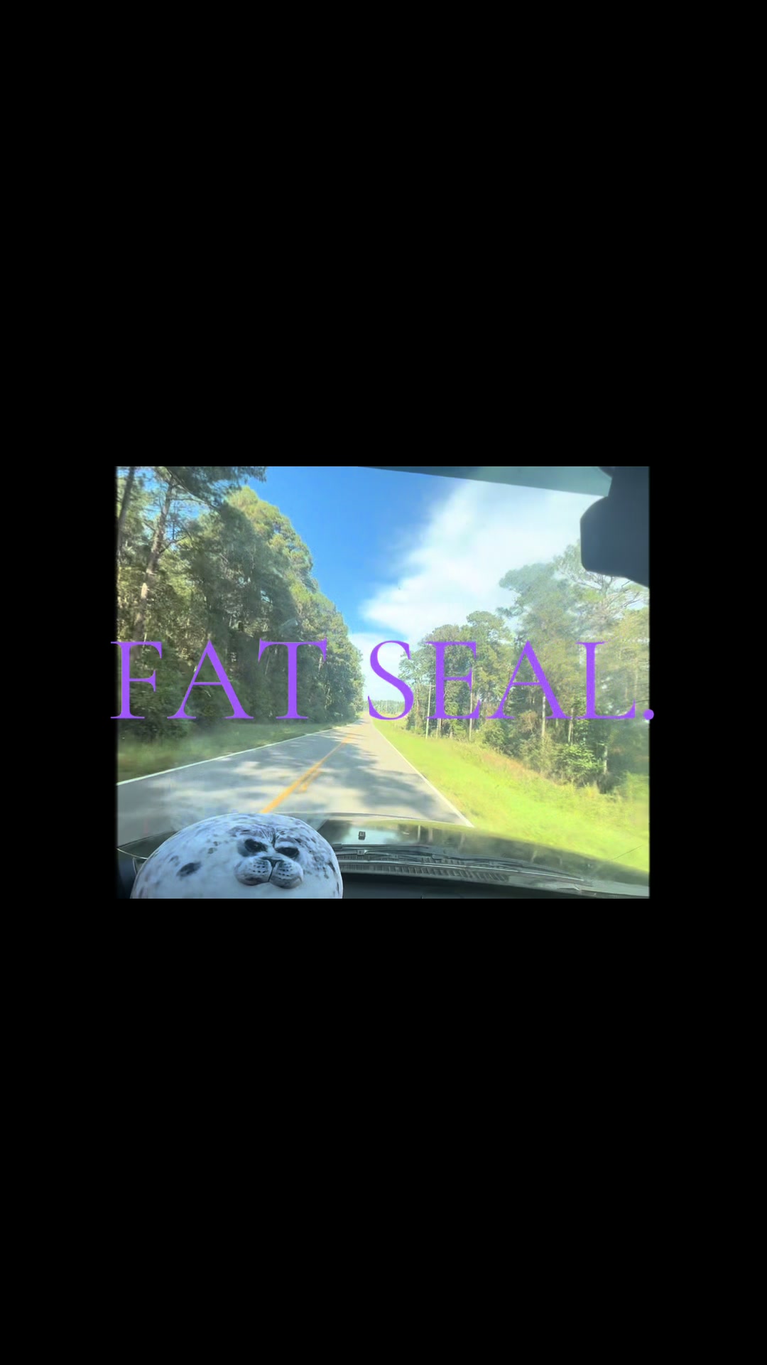 #fatseal #ride