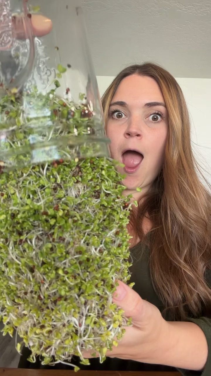 The Sprouting Company