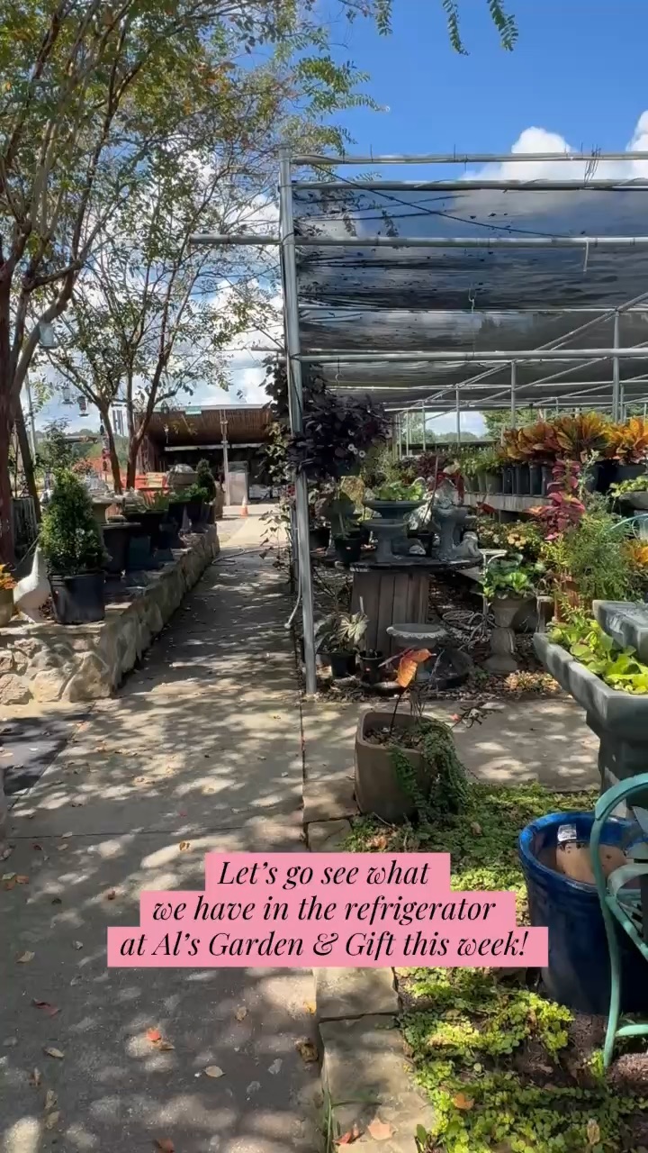 Local Business