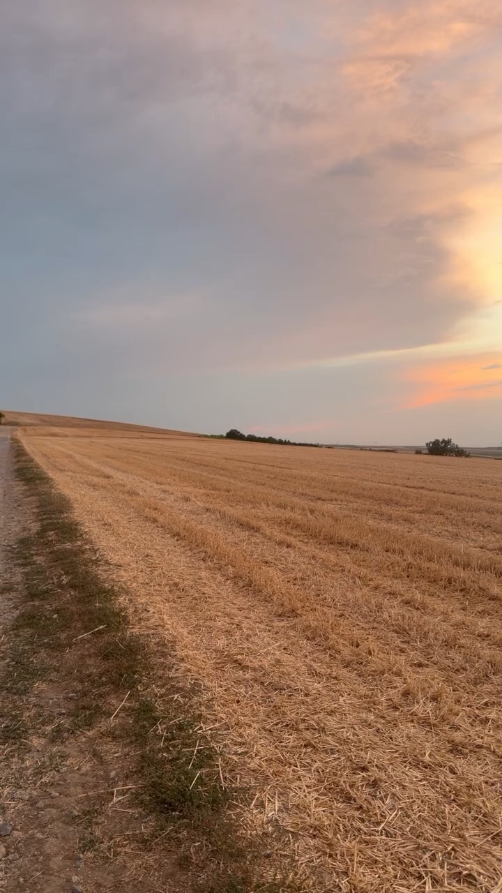 Run