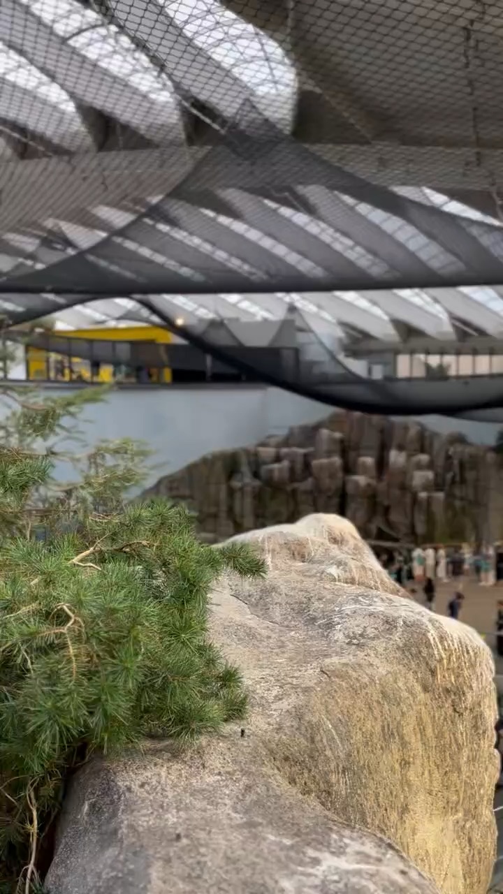 Landscape Video Wide