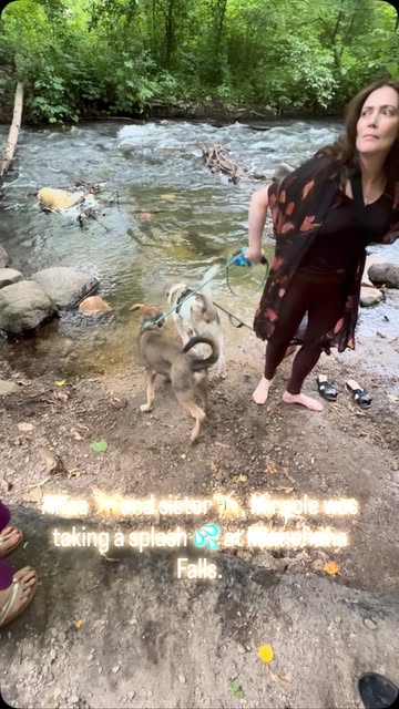 Atlas and his sister, Miracle wading in the Minnehaha Falls.#cutedoggy #puppylife #brotherandsisterlove #waterdogs
