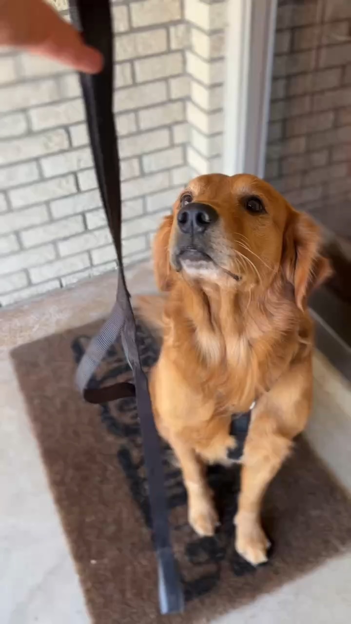 Oakley POV
