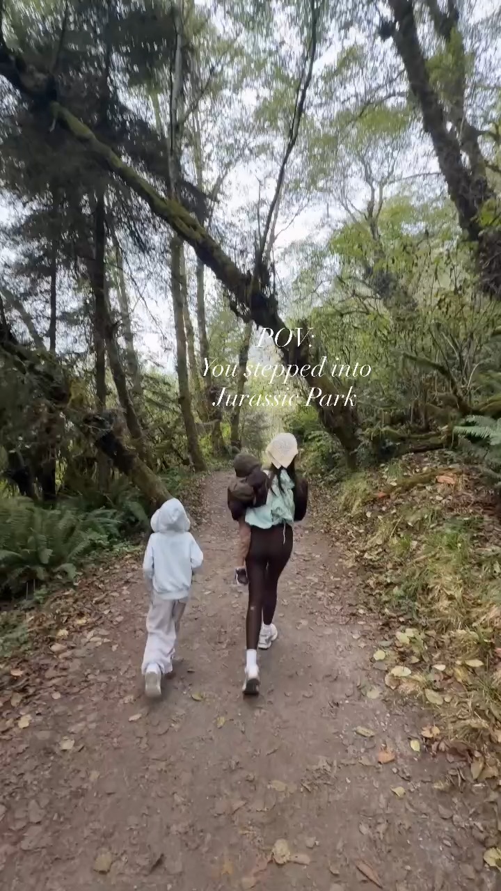 Redwoods National Park