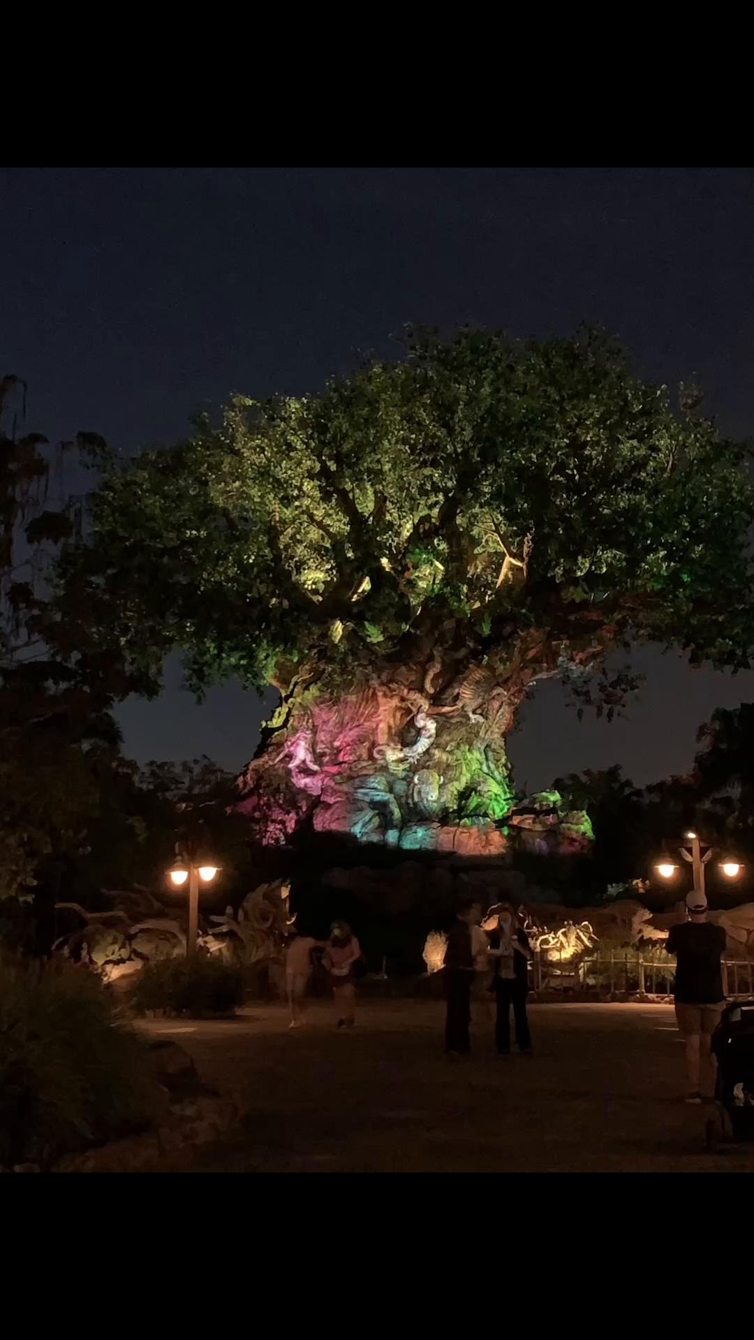 I’m happy to be broke to give my children these amazing memories. #vacations #travel #adventure #Disney