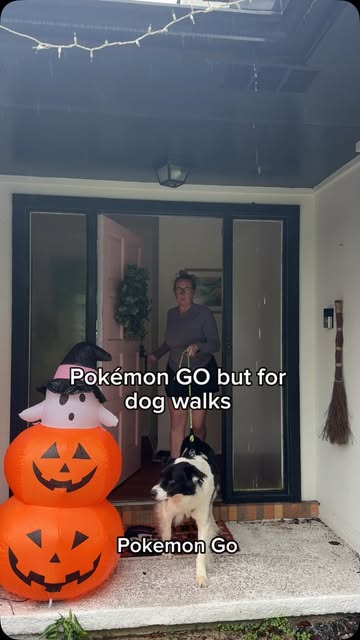 Pokémon Go but for dog walks #dogs #dog #cutedog #dogsofinstagram #dogespartner