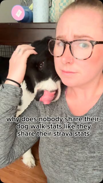 Why does nobody share their dog walk stats like they share their strava stats?? #fypageシ゚ #dogs #dogsofinstagram #dog...