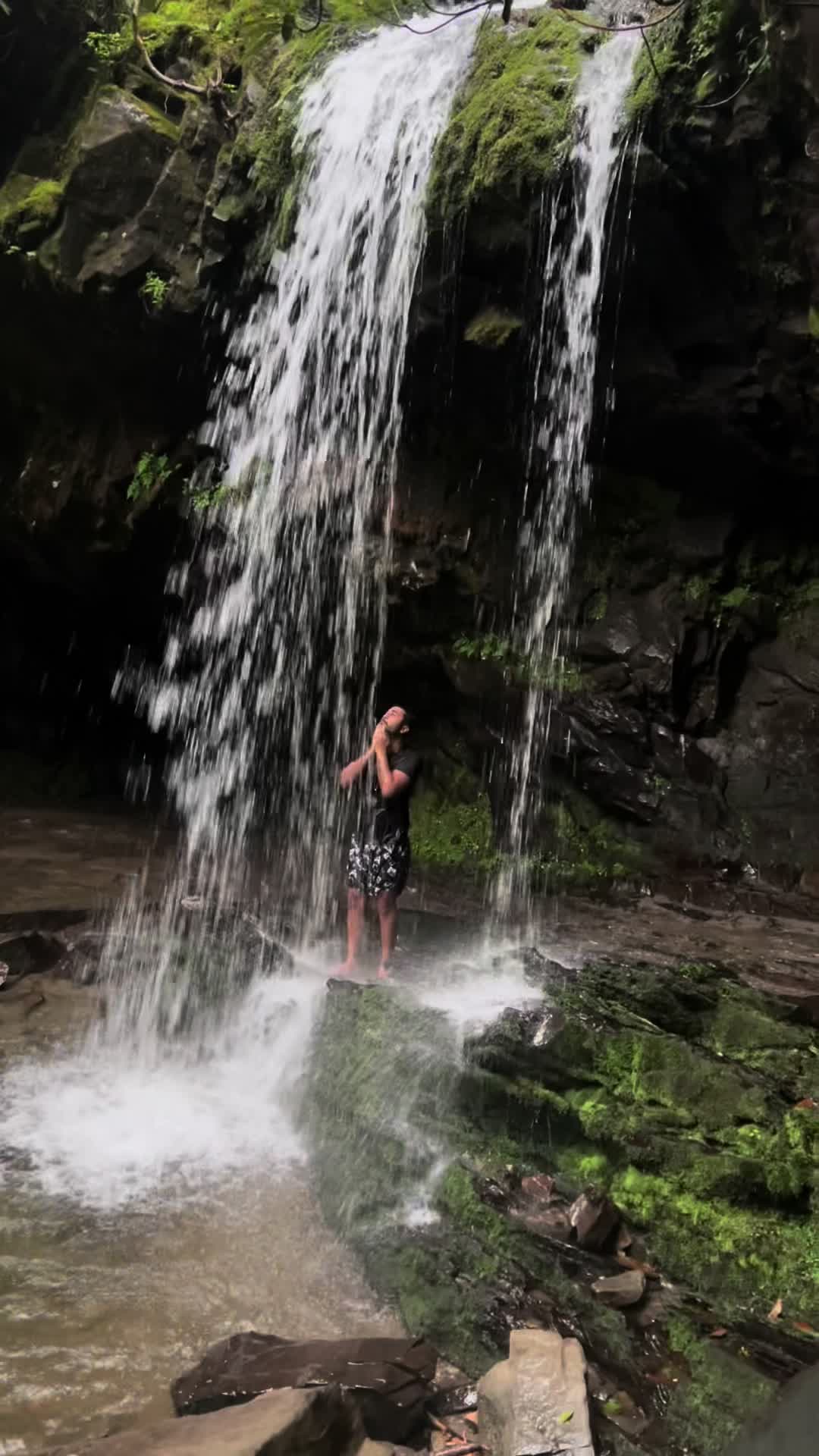 Paradise in the #smokymountainsnationalpark hiking ti #mountleconte #trails #waterfalls #mountains #views #getoutdooo...