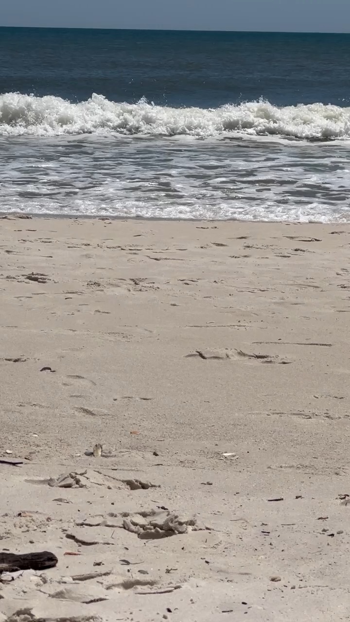 Alabama Beaches