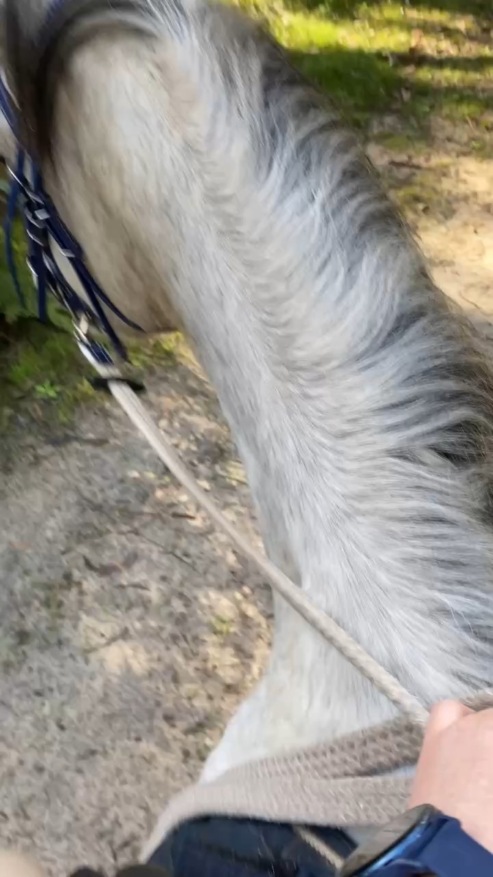 Horse riding