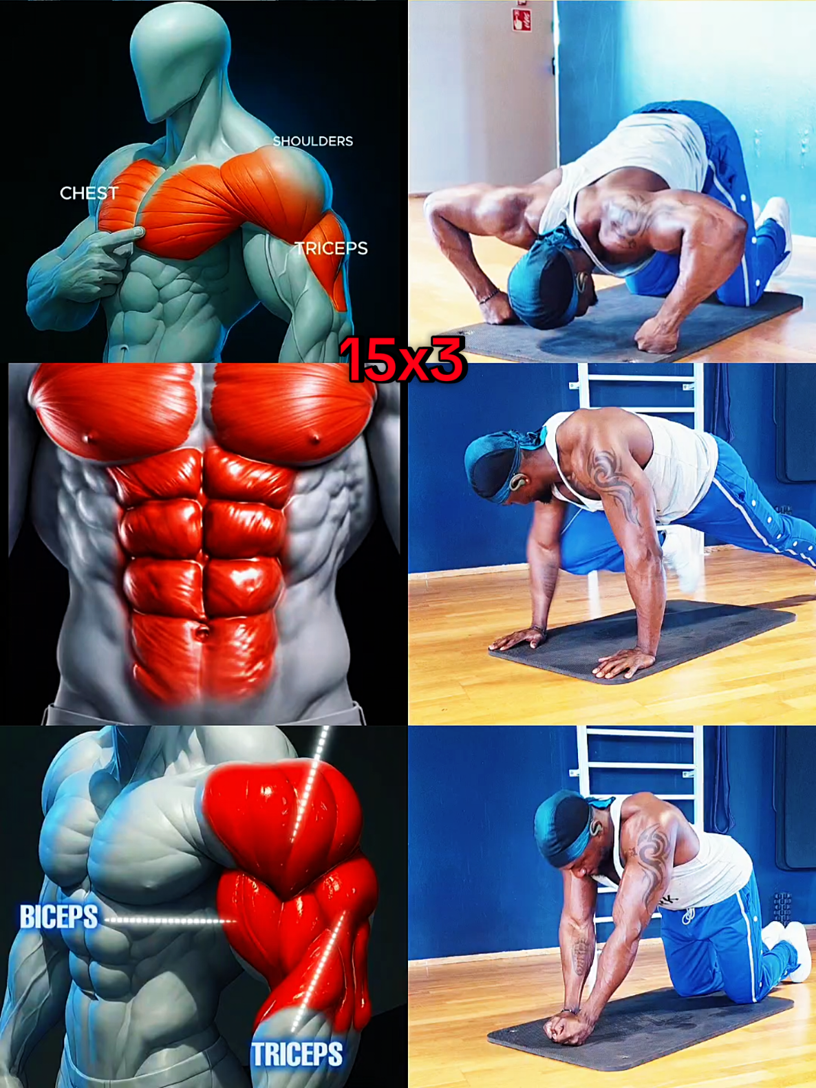 Full body workout, save and thank me later. #fitnesstok #gymtok #beginnersfitness #fullbodyworkout #fyp @Kings.abs