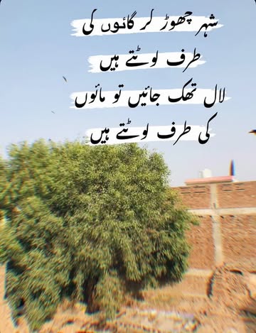 شہر کو چھوڑ کر گائوں کی طرف لوٹتے ہیں 🤎