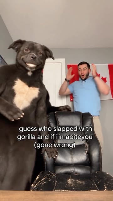 guess who slapped