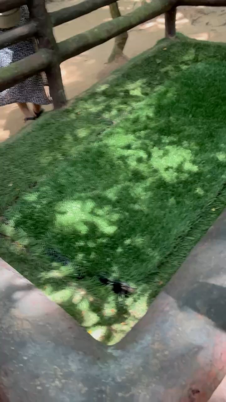 Vietnamese War Traps