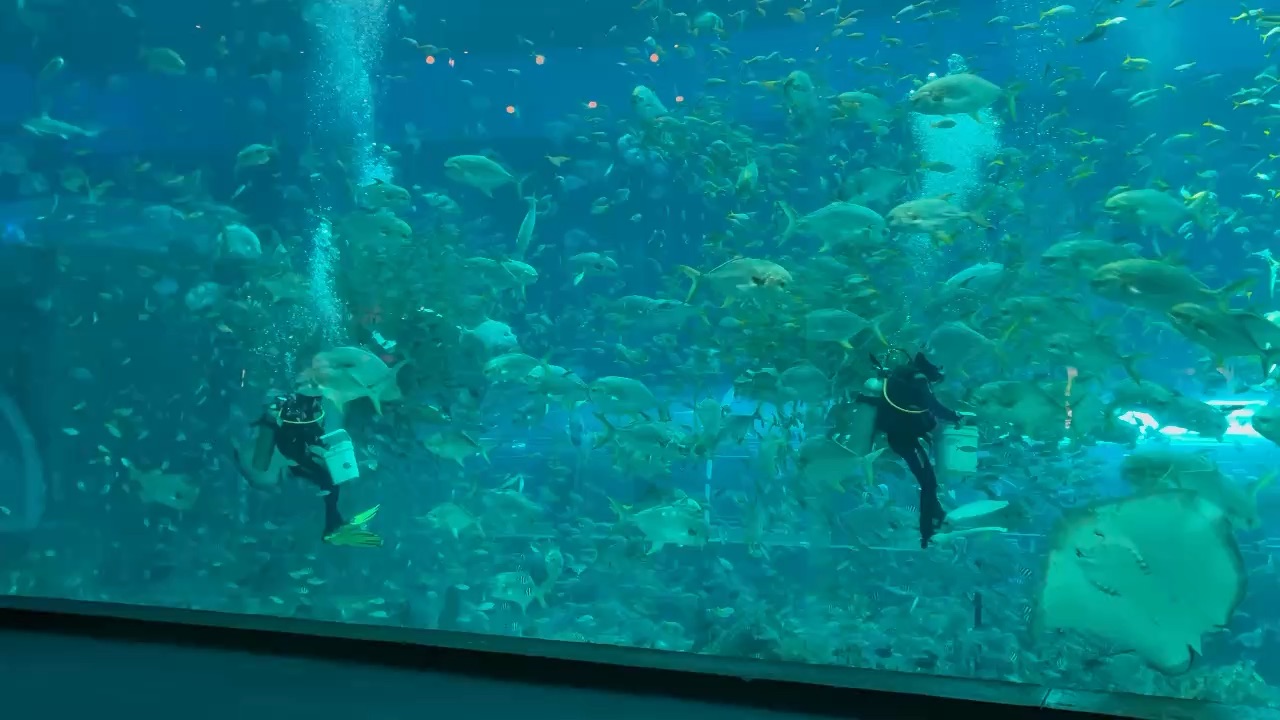 Aquarium