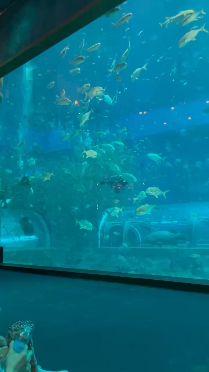 Aquarium