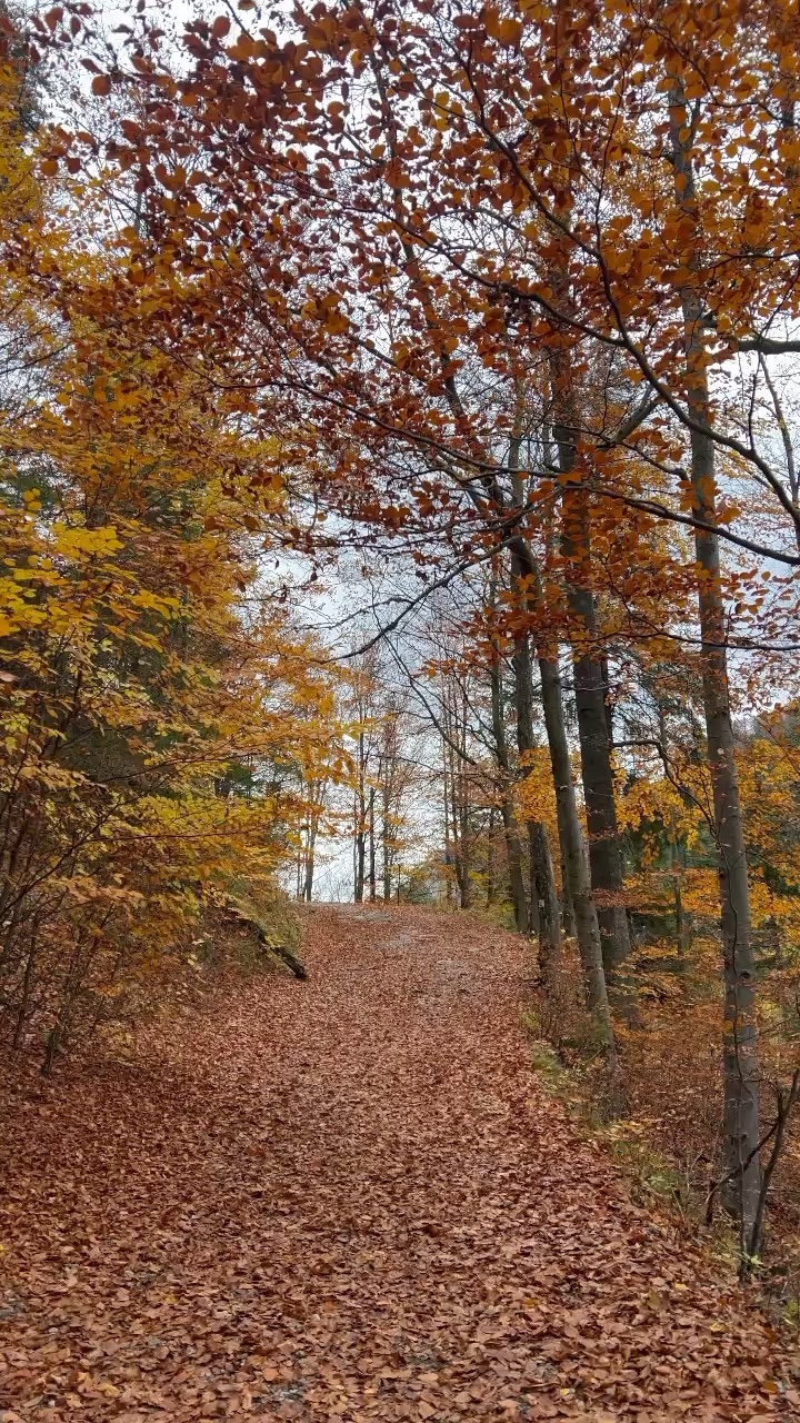 Autumn