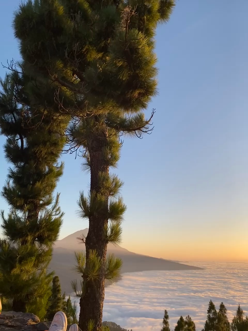 above the clouds