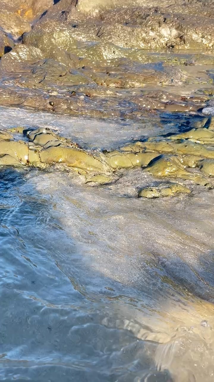 The beach