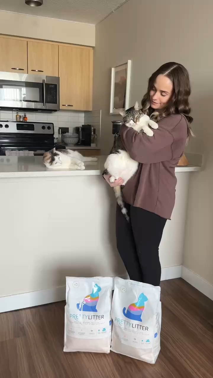 A Cleaner Litter Box, Happier Cats